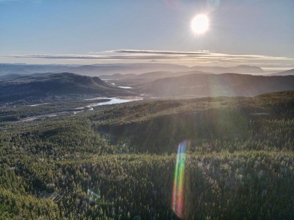 Bonne Bay PondBonne Bay Cottages的山谷中树木的彩虹