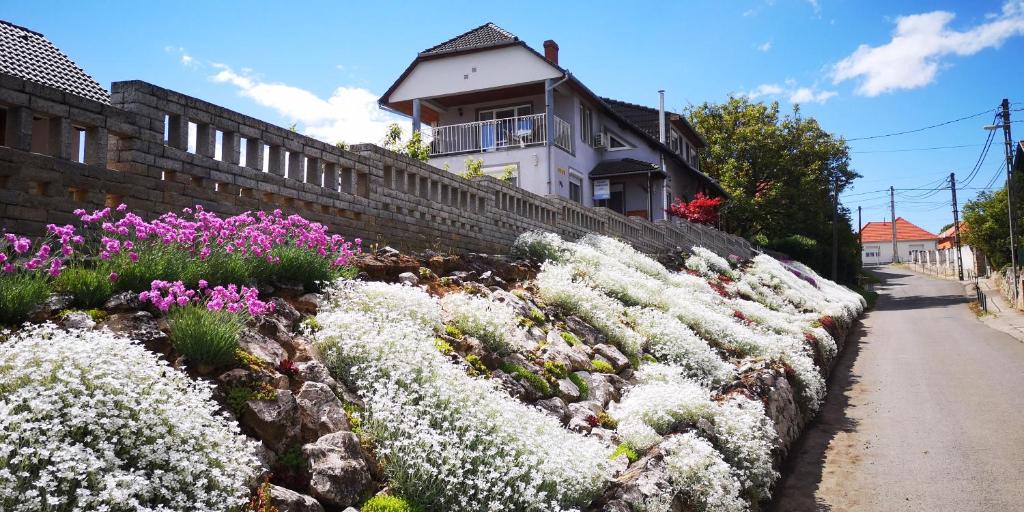 维拉尼Szabó Vendégház的一座建筑前的白色花卉花园