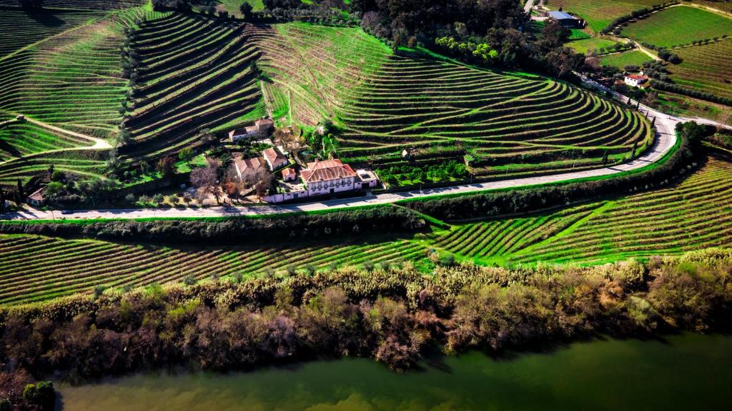 拉梅戈杜思瓦莱斯庄园旅馆的享有葡萄园和山丘上带湖泊房屋的空中景致