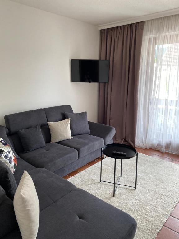 沃尔特湖畔佩莎赫Apartment Ananas I Zentral & SeeNah的客厅配有沙发和桌子