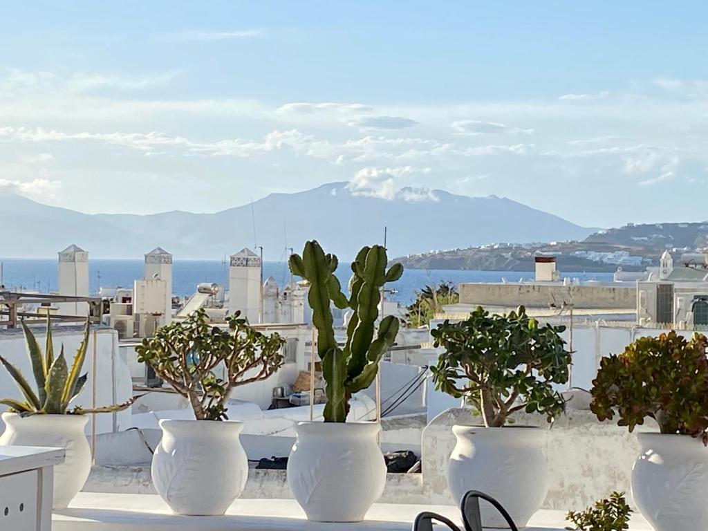 米克诺斯城Elaia Luxury Suites Mykonos的一群在屋顶上种有植物的白盆