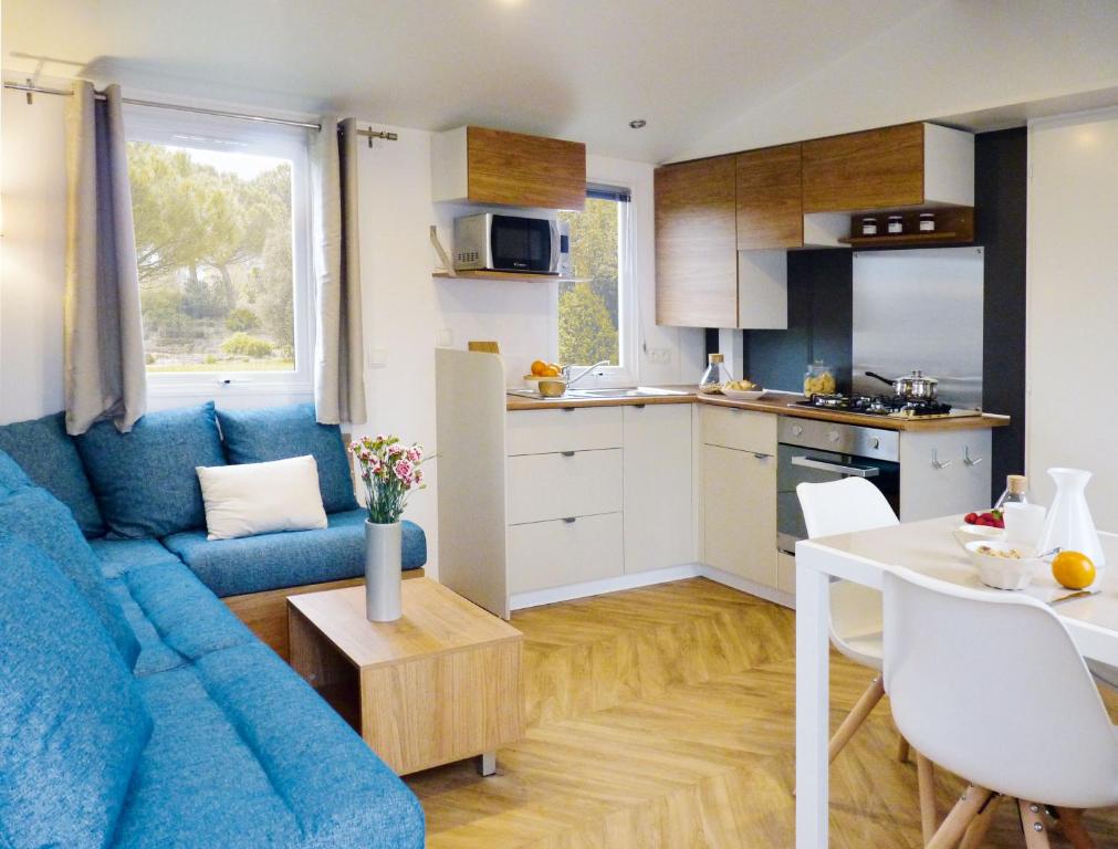 圣伊莱尔德里耶Mobil-home Dan Dom的一间带蓝色沙发的客厅和一间厨房