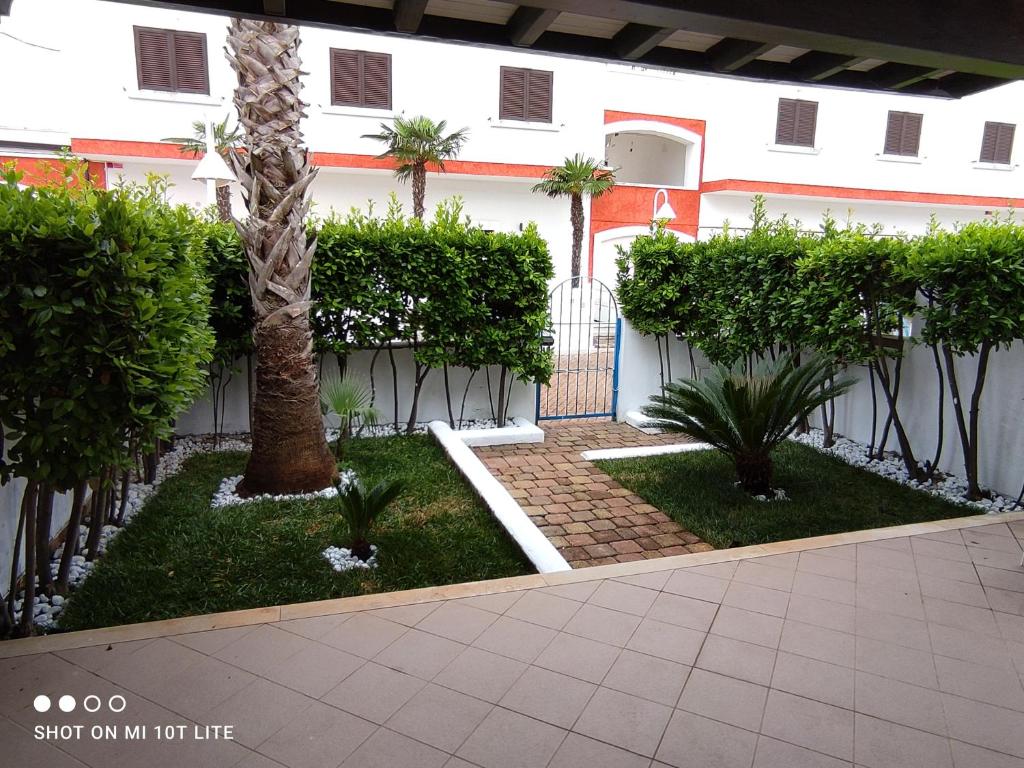 切萨雷奥港Villetta Residence Chiusurelle的一座种有棕榈树的庭院和一座白色的建筑