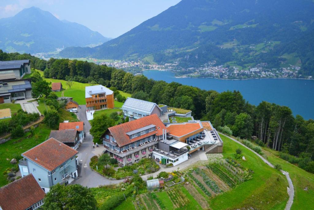 费尔茨巴赫林恩赛米娜酒店的享有湖畔山丘上房屋的空中景致