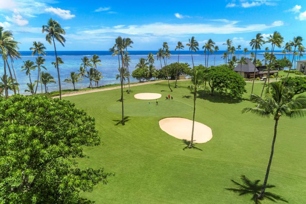 瓦阿Shangri-La Yanuca Island, Fiji的享有棕榈树和大海的高尔夫球场的顶部景色