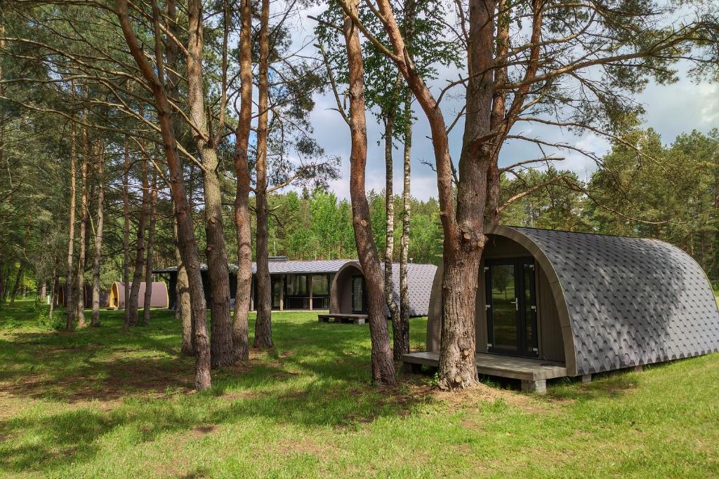 比尔什托纳斯Natur Camp Birštonas的森林中一座金属屋顶的房子