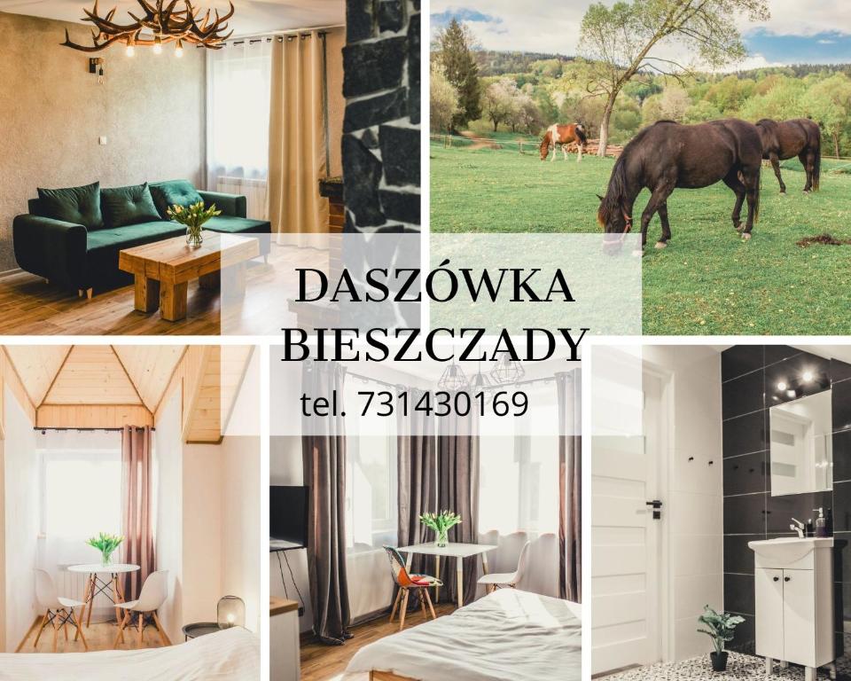 下乌斯奇基Daszówka Bieszczady的照片拼贴着一个有马的房间