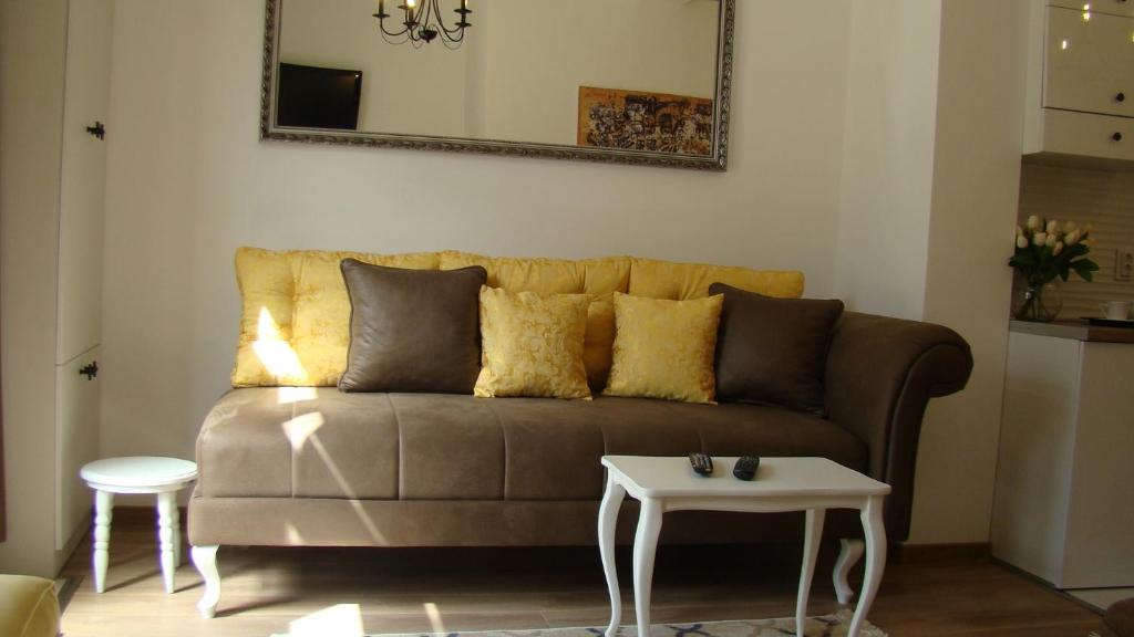 采蒂涅Gagovic的客厅配有沙发和桌子