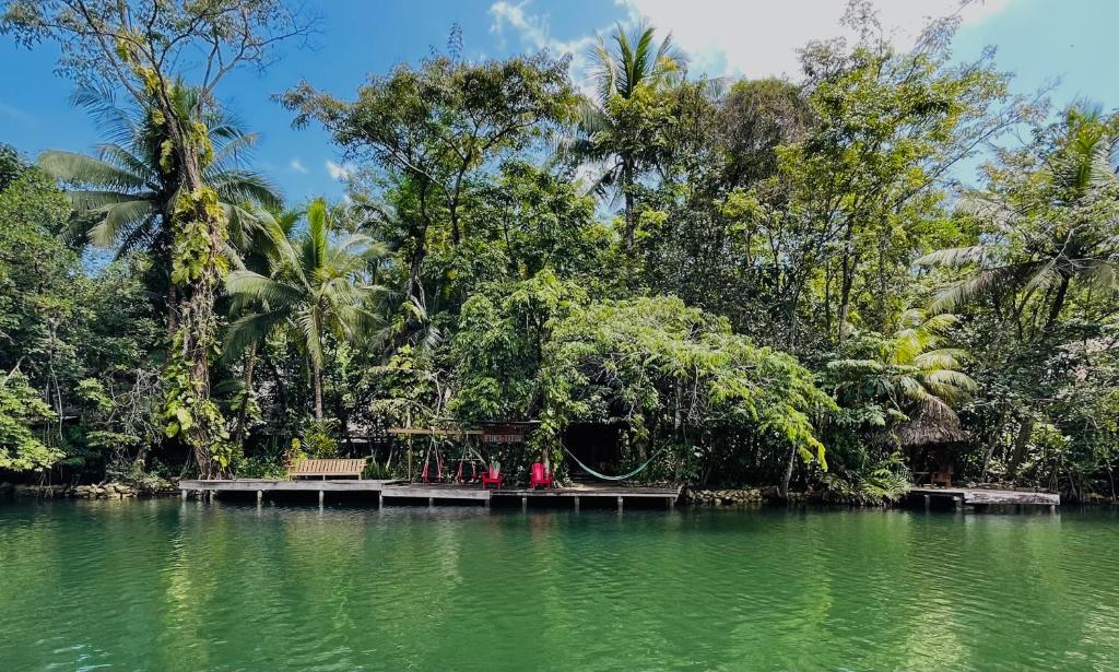 LámparaFinca Tatin Hotel的树木繁茂的湖泊中的一个木筏