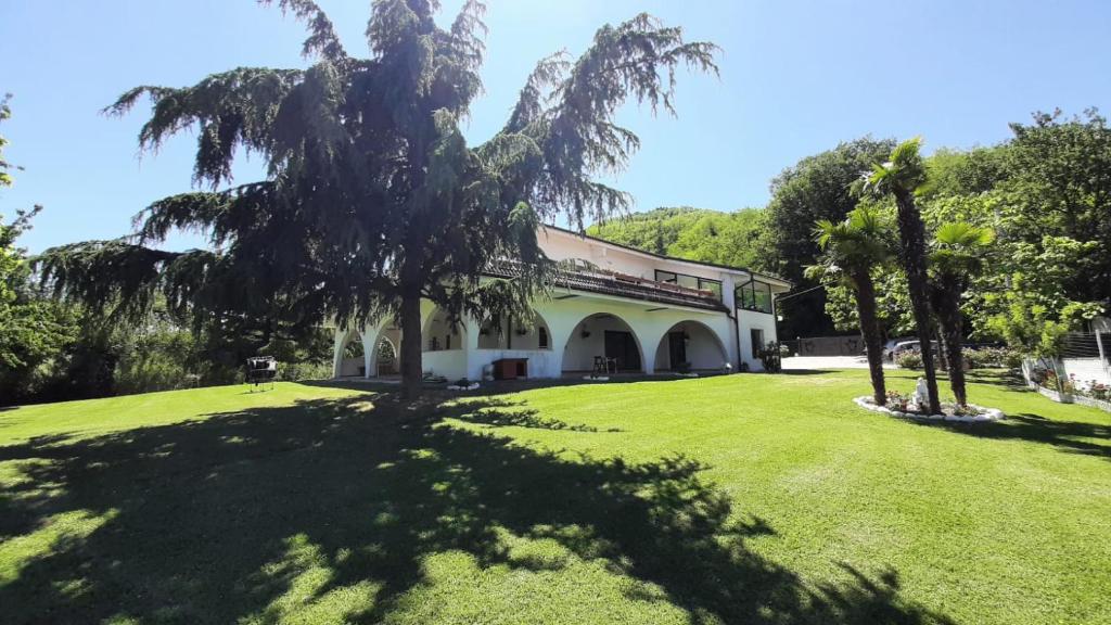 Montefiore Conca"CARA PACE" in collina per famiglie的庭院前有棕榈树的建筑