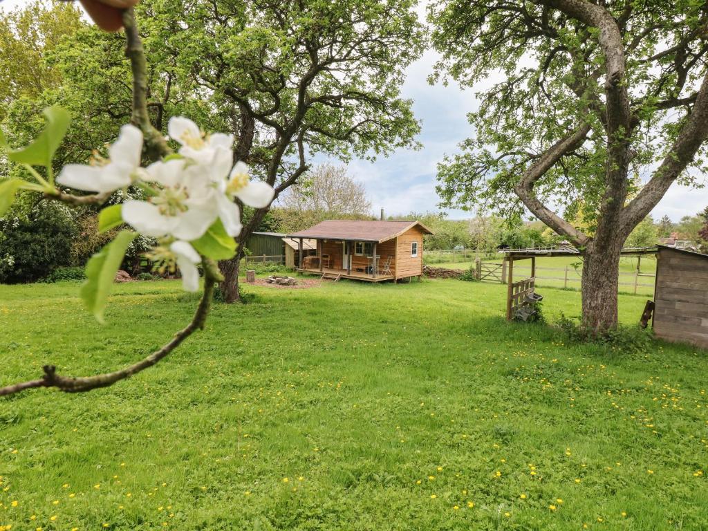 雷特福德Bramley Orchard Glamping的享有庭院景致。