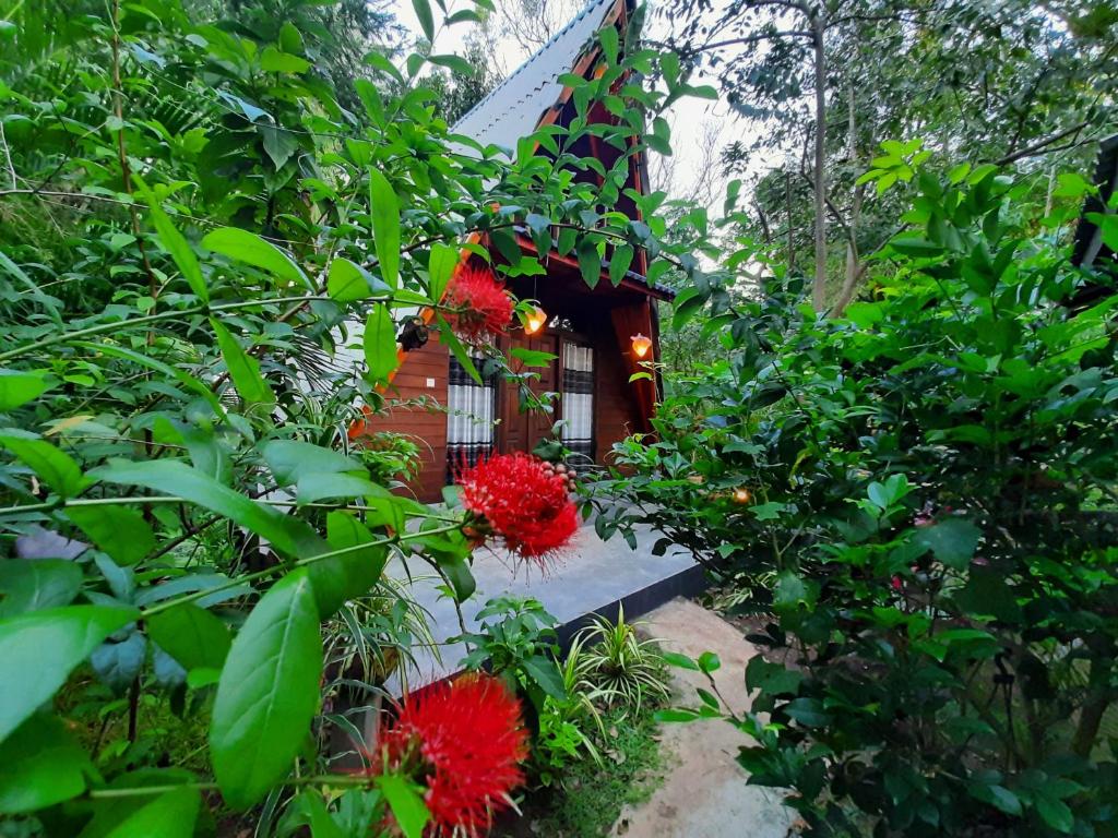 锡吉里亚锡吉里亚奥图纳旅馆的前面有红花的小房子