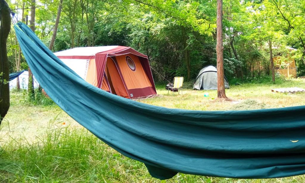 VrčinDifferent Belgrade camping的田野上的蓝色吊床,带帐篷