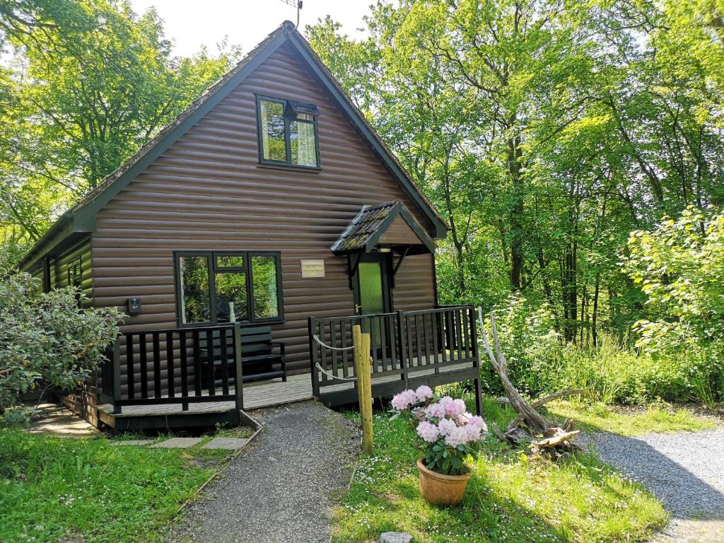 卡马森PrancingHare Lodge-Woodland Lodges-Pembrokshire的树林中的小屋,带门廊和鲜花