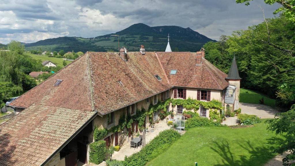 MarnozDomaine de Bellevue Gîte du Mont Begon的享有带屋顶的大房子的空中景致