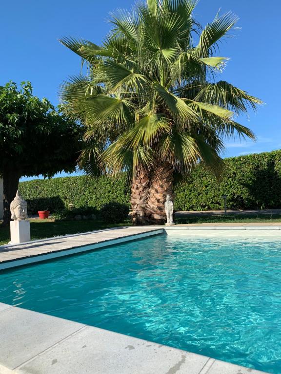 圣埃尔斯Atelier des Vidaux的棕榈树和棕榈树游泳池