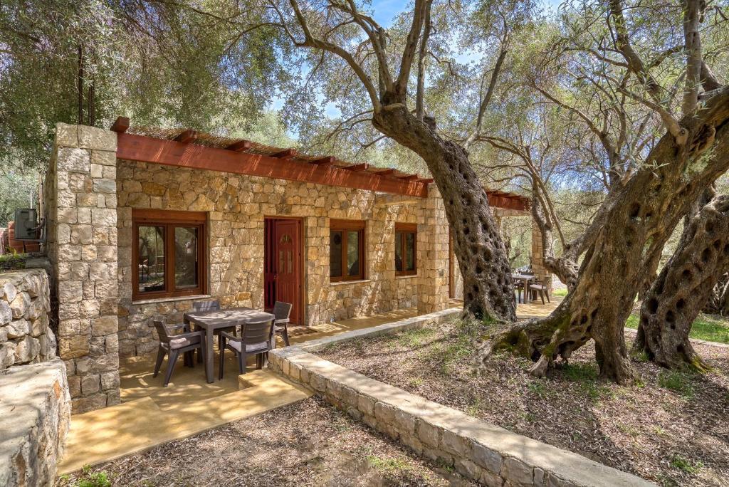 乌尔齐尼Stonehouse in Olives的石头房子,配有桌椅和一棵树