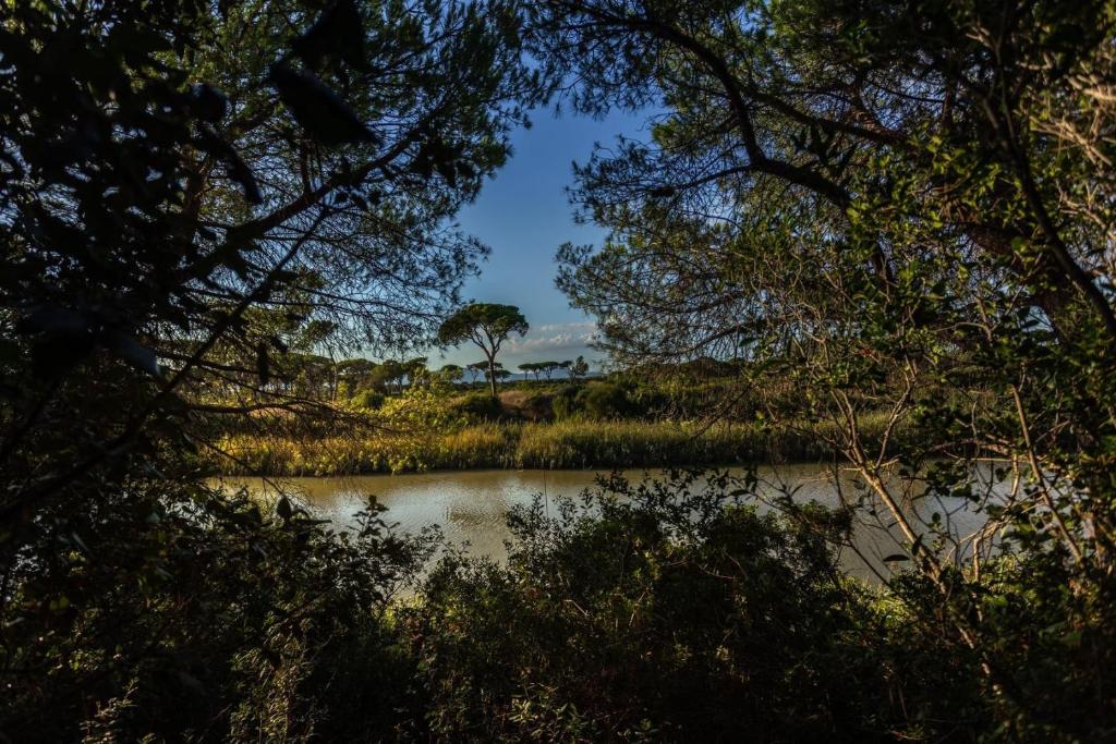 格罗塞托港太阳村露营地的享有河流的树木美景