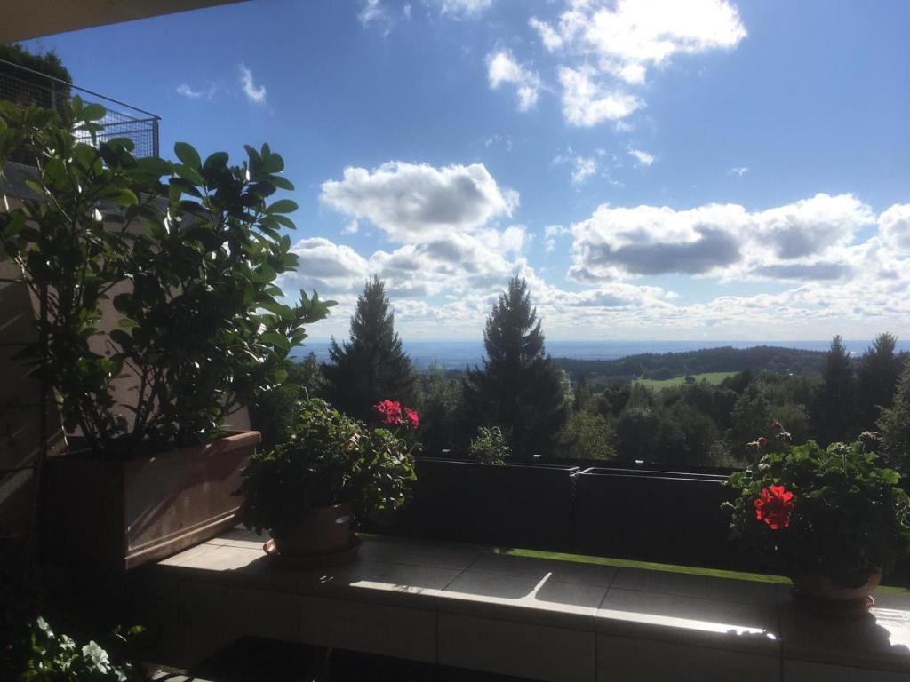 圣恩吉玛Komfortable Wohnungen und Studio in Sankt Englmar的从种植盆栽植物的房子的阳台上欣赏风景