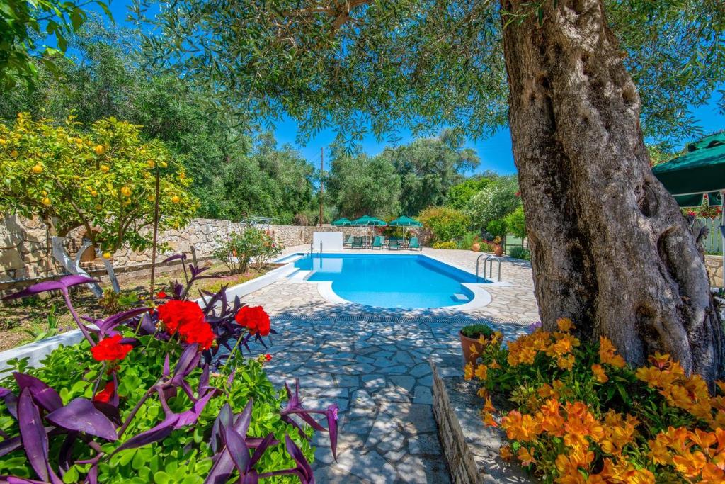 拉卡LIvadi Studios with Pool的花园中种满鲜花和树木的游泳池