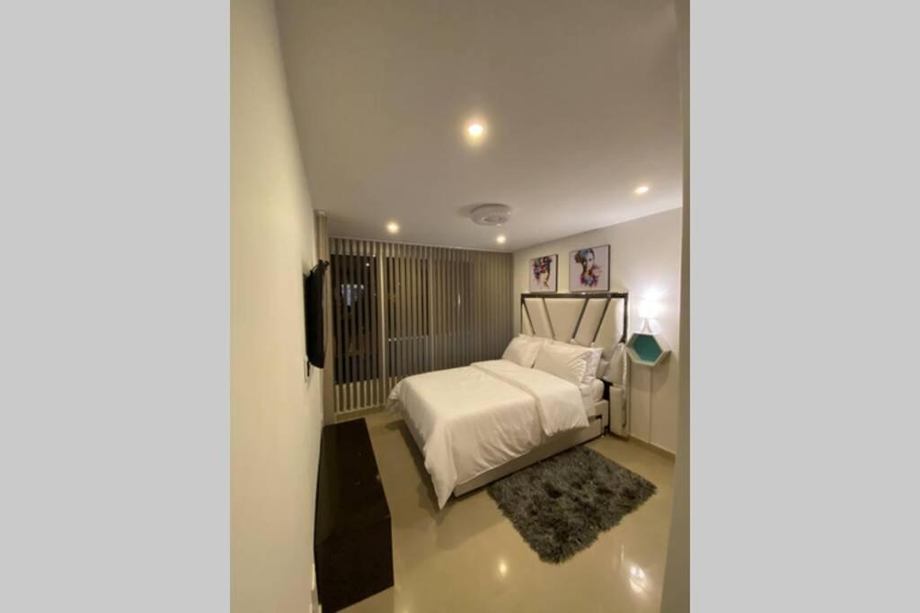 马尼萨莱斯Espectacular apto amoblado, bien ubicado 3 piso的卧室配有白色的床和地毯。