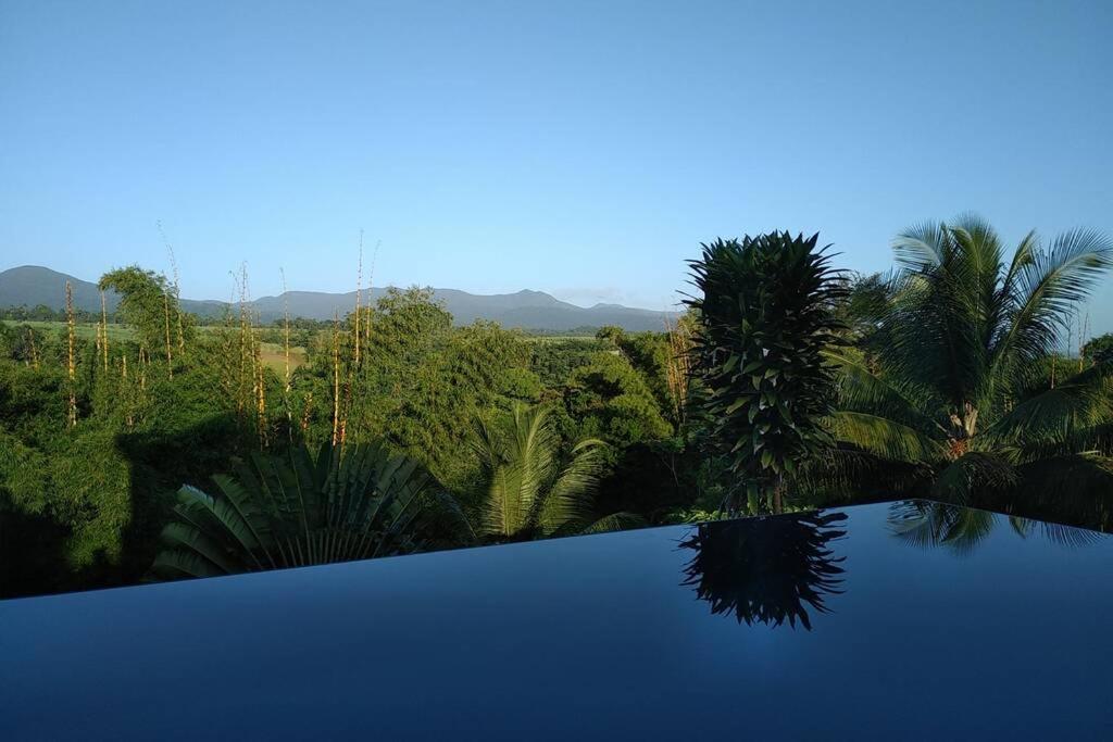 珀蒂堡Villa Kumquat, avec piscine Clévacances 4 clés的享有棕榈树林景致的游泳池