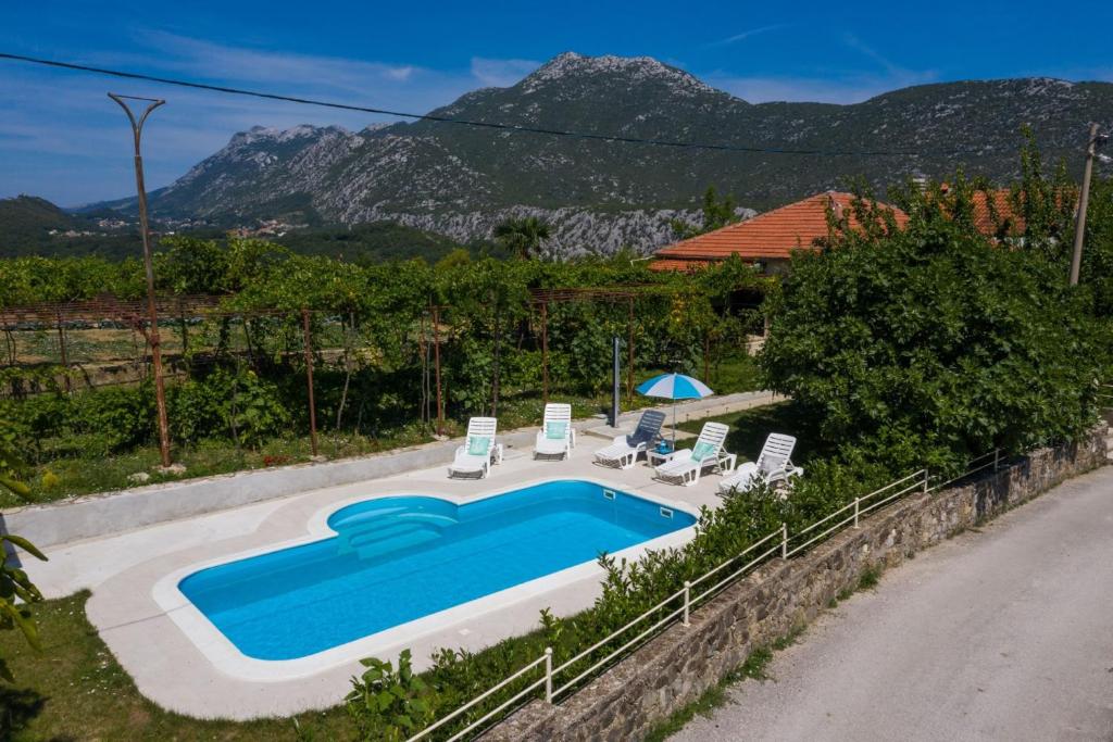 sunflower house with a pool and large garden