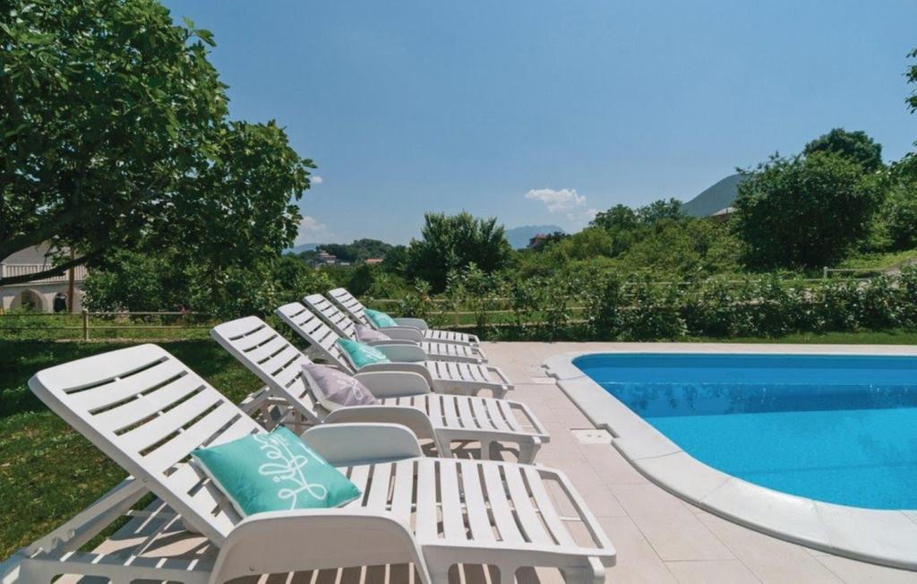 sunflower house with a pool and large garden