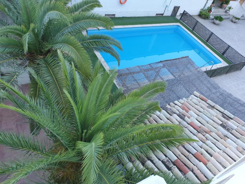 卡索拉Hotel Balcón de Cazorla的享有游泳池的顶部景色,游泳池拥有棕榈树
