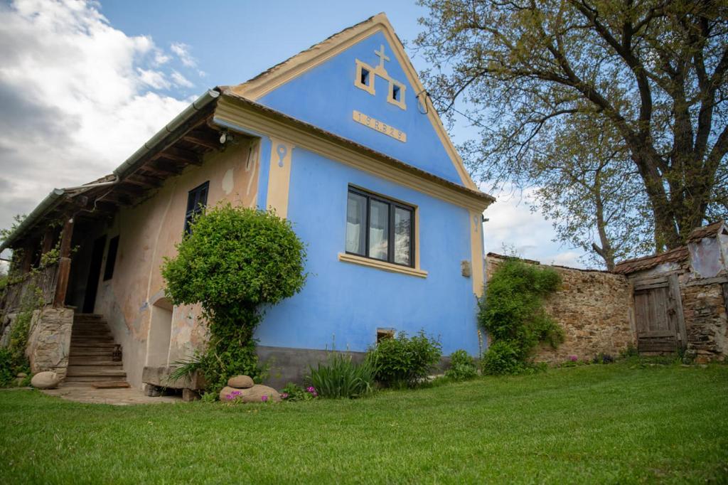 ŞonaCasa din Şona的蓝色和白色的房子,有院子