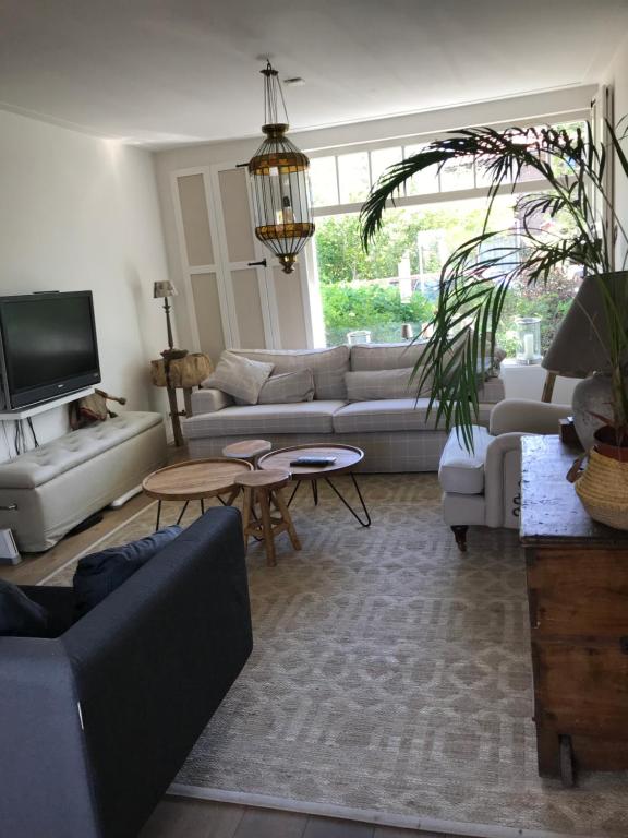 VogelenzangBirdy的带沙发和桌子的客厅以及电视。