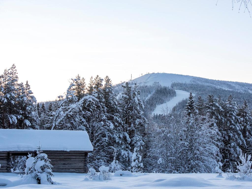 斯托滕Stötens Stugor & Lägenheter的雪地小屋,享有山景