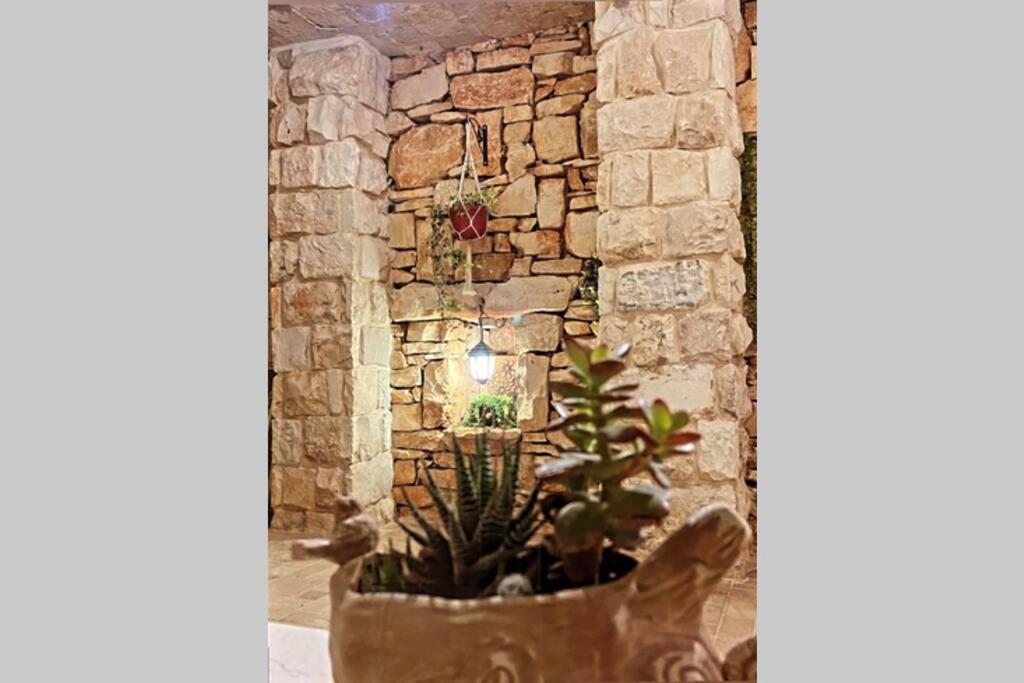 YānūḥHala Castel - Luxury villa for families & couple's的盆里植有植物的石墙