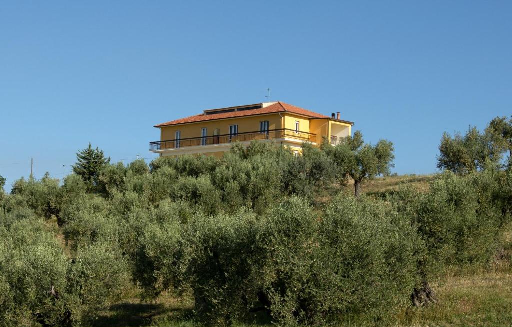 奥菲达Residence Borgo Offida的树上山顶的房子