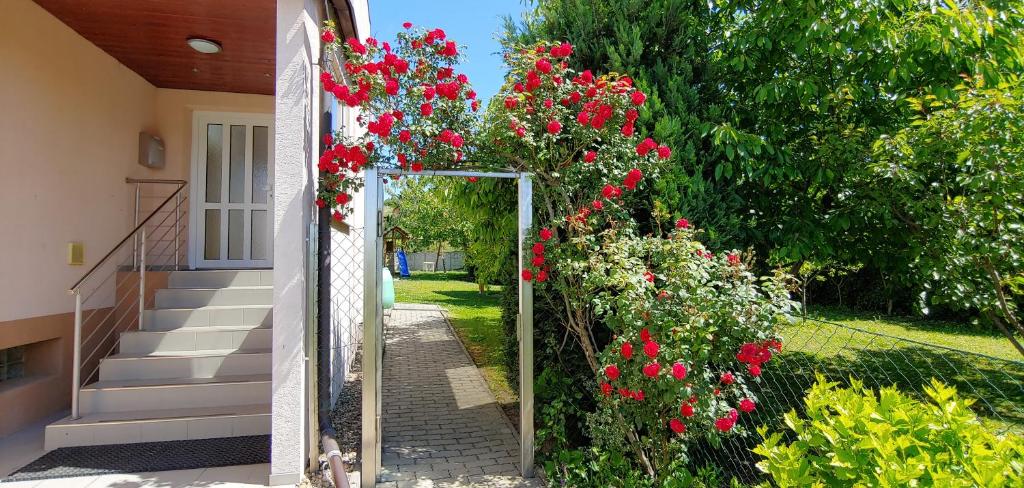 佩尔纳Ubytování Markéta的一面有红花的房子的一面镜子