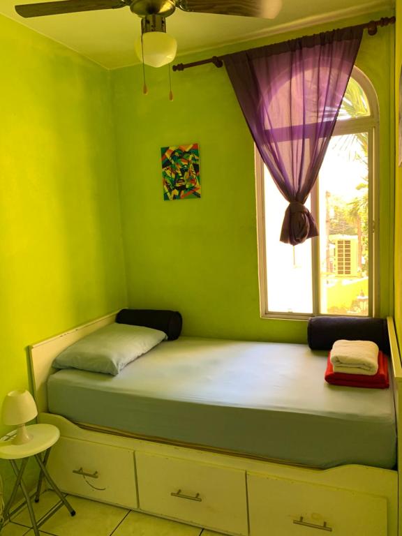 圣萨尔瓦多Room 4 rent的绿色卧室设有一张带窗户的床