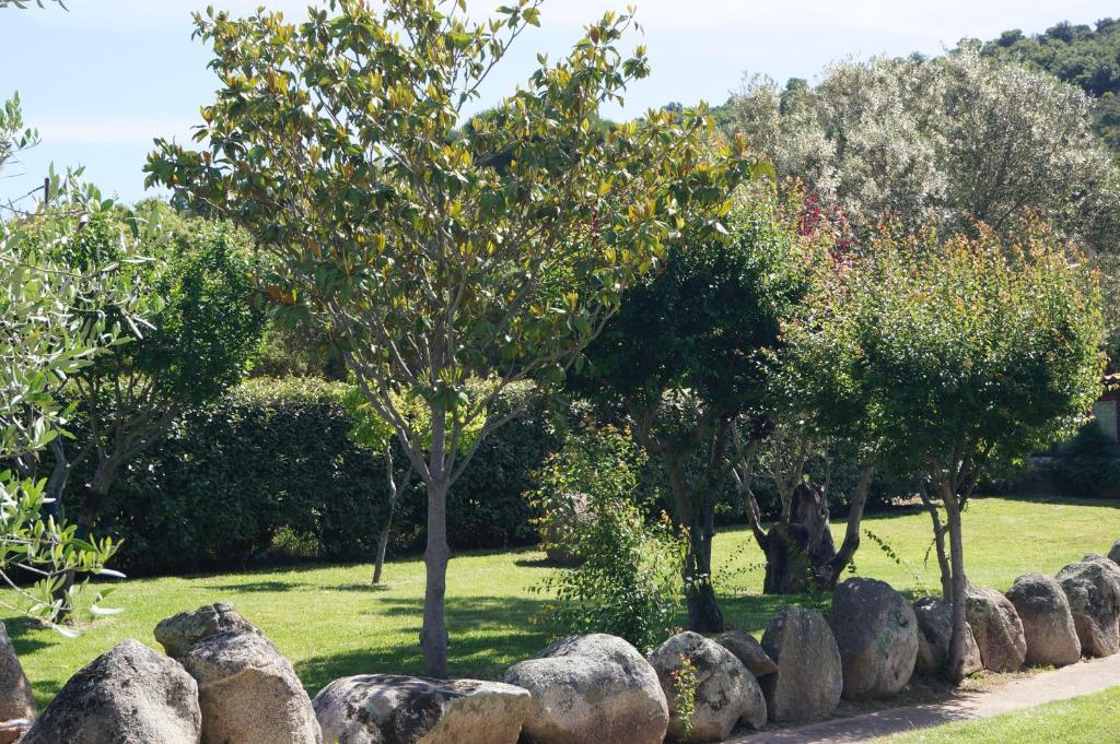 维琪奥港Les Jardins De Santa Giulia - Charmante chambre d'hôte的公园里的一排岩石和树木