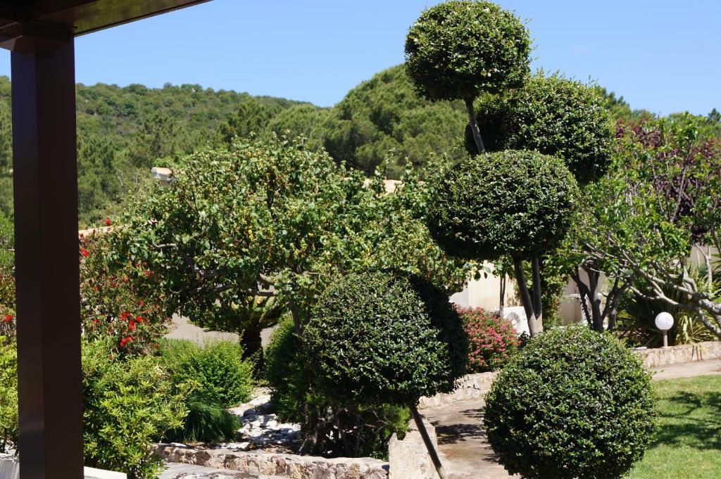 维琪奥港Les Jardins De Santa Giulia - Charmante chambre d'hôte的庭院里种有灌木和树木的花园