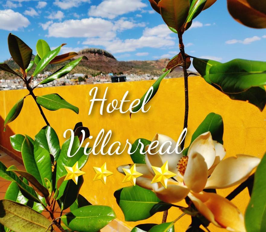 萨卡特卡斯Hotel Villarreal的读取酒店荒野的黄色花标