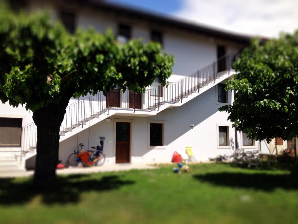 弗留利地区奇维达莱Casa Romea的院子里有树的白色房子