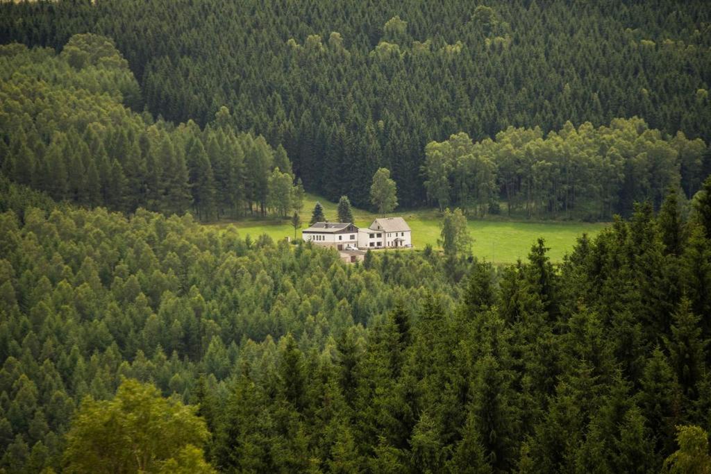 HeidersdorfBrandthausen - Ferienwohnungen Familie Brandt的树林中间的房子