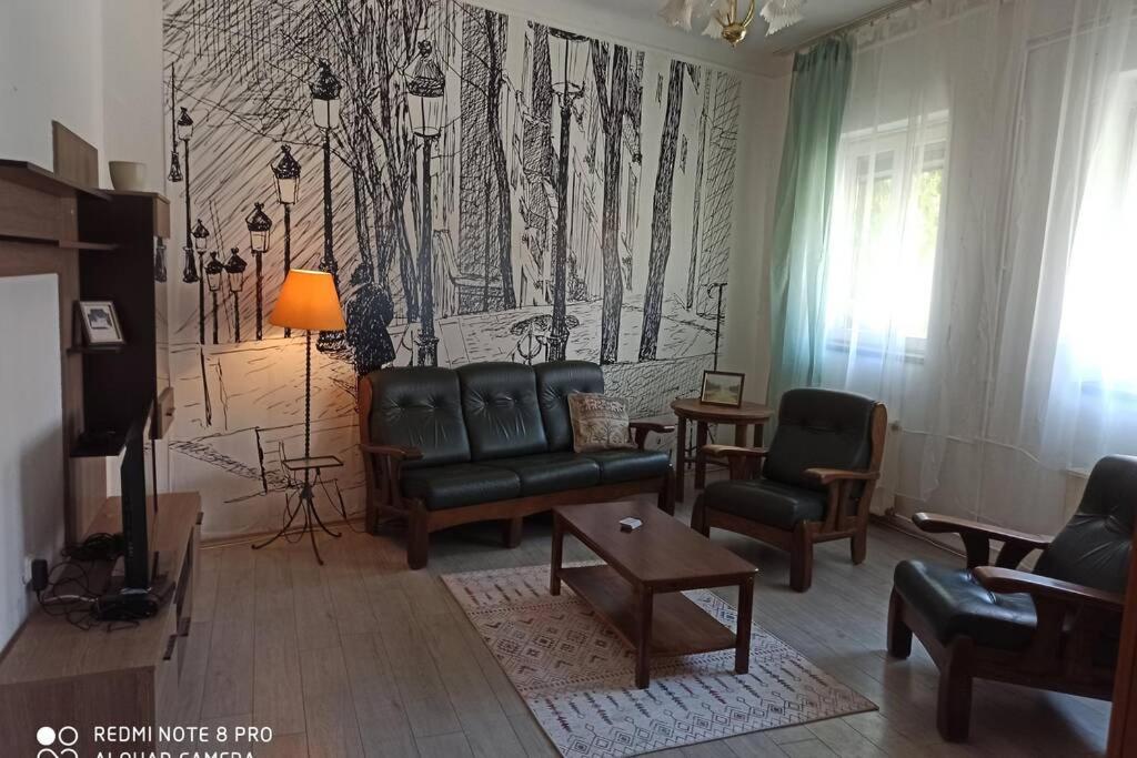 布达佩斯M&M apartman的客厅配有沙发、椅子和壁画