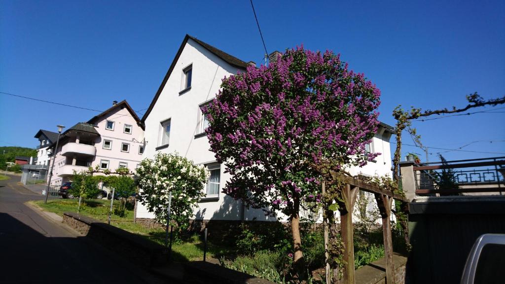 埃伦茨-波尔特斯多夫Ferienwohnung Ewa的白色的房子,有一棵紫色花朵的树