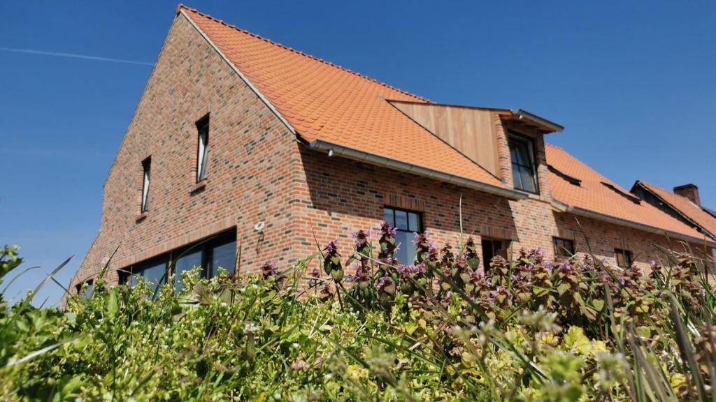 波佩林赫Sint-Sixtus 99的红屋顶砖砌的建筑