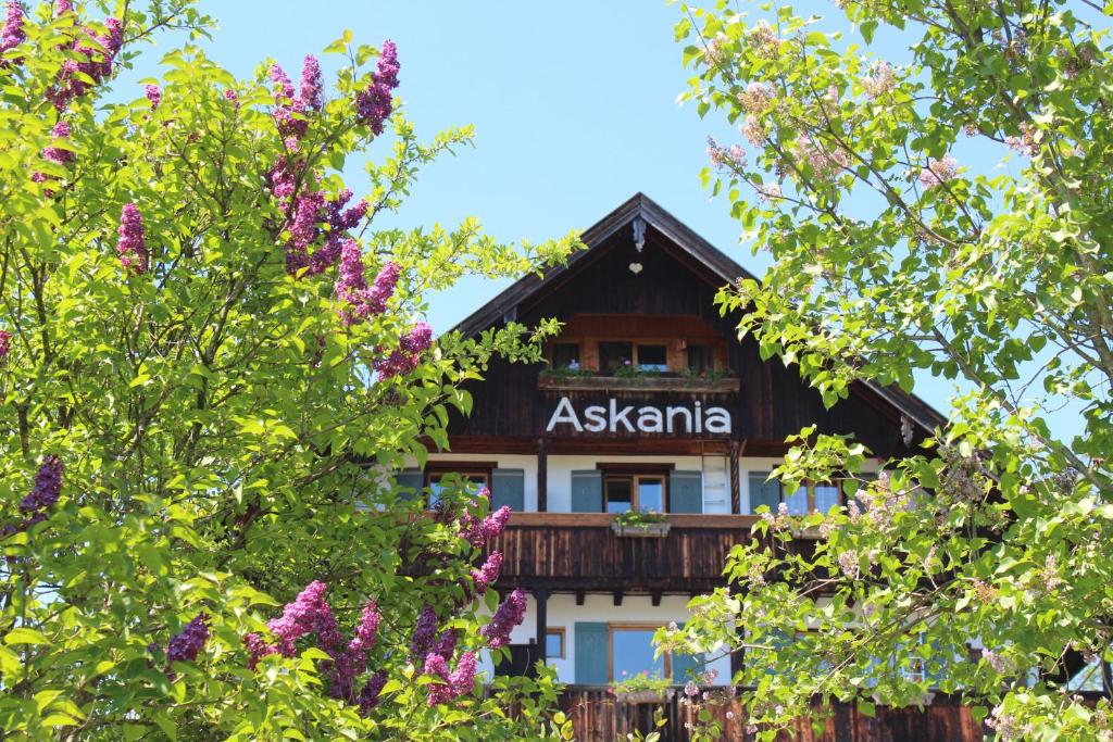 巴特维塞Hotel Askania 1927的一座建筑,在一些树木和紫色的花后面