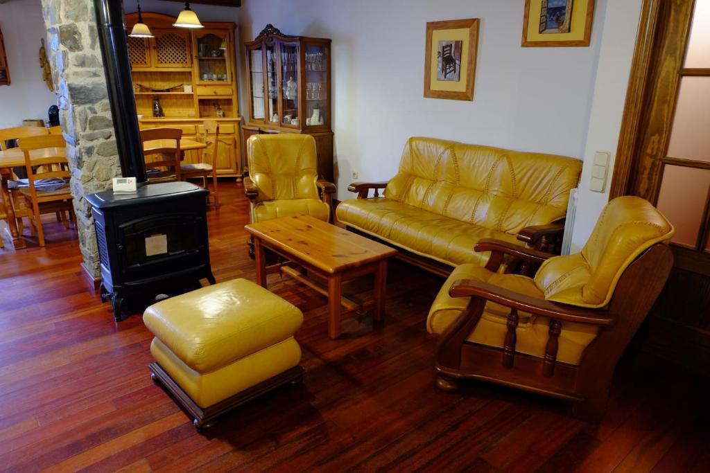 埃斯库瑙Apartamento rùstico Escunhau的带沙发和燃木炉的客厅