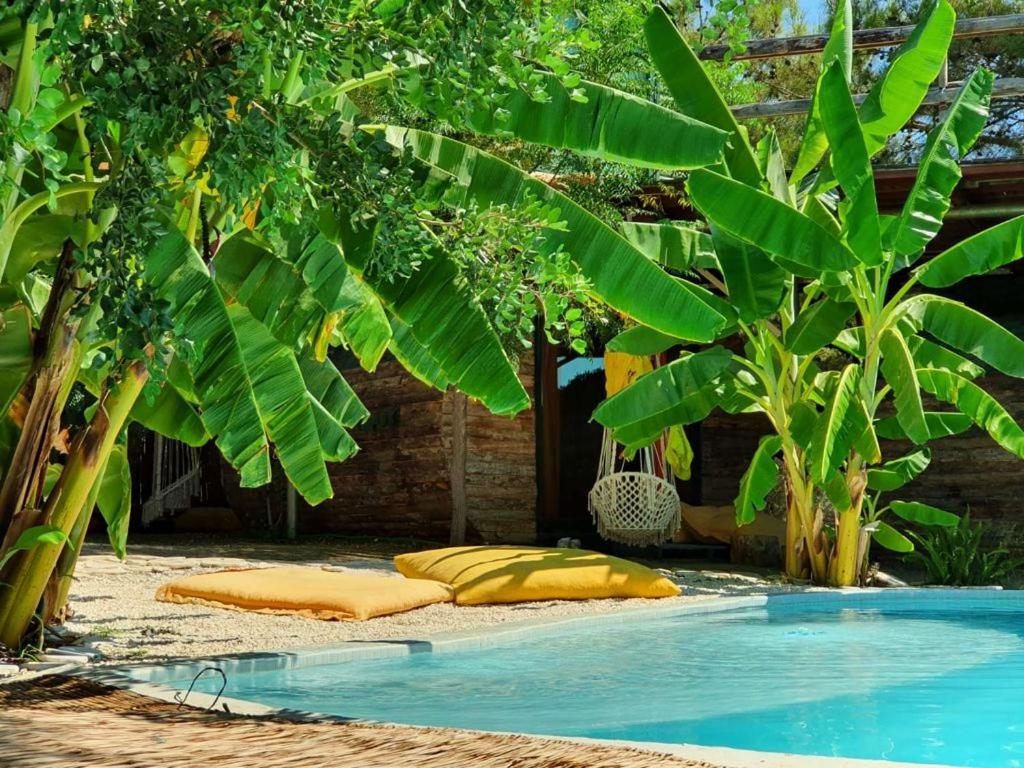 法拉尔雅Mandala Camping的靠近一些树的带黄色垫子的游泳池