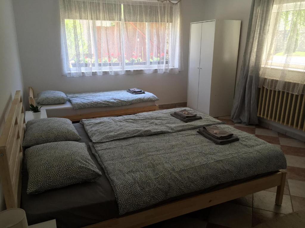 鲍科尼贝尔Bakonyi Kemencésház的一间卧室设有两张床和窗户。