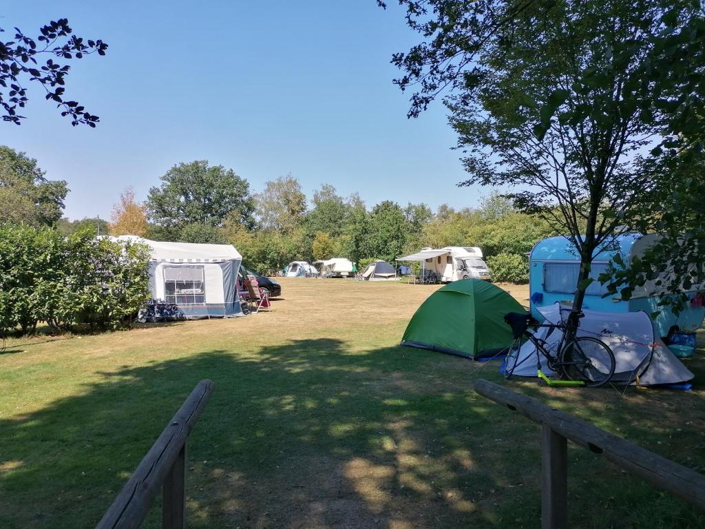 泽尔赫姆Camping 't Bosch的一群帐篷和一辆自行车停放在田野里