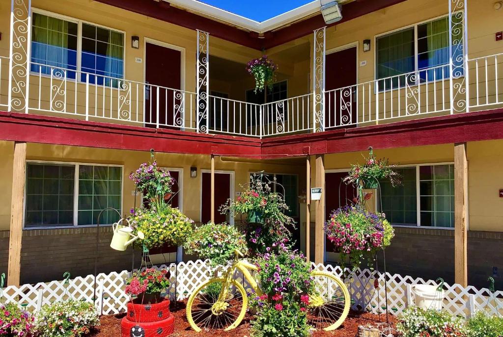 安大略安大略速8酒店的鲜花的房子,前面有自行车